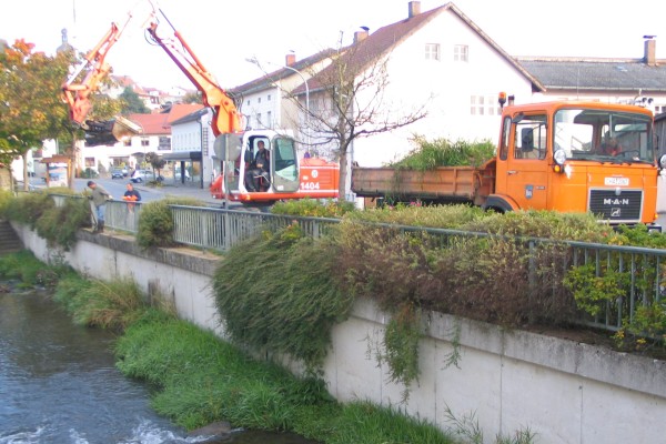 Gewässerpflege am Freibach Gewässerpflege am Freibach