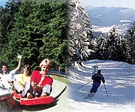 Rodeln und Skifahren am Hohenbogen Sommer und Winter aktiv am Hohenbogen