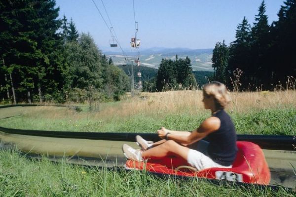 Rodlerin am Hohenbogen