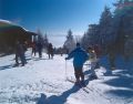 Ski alpin am Hohenbogen