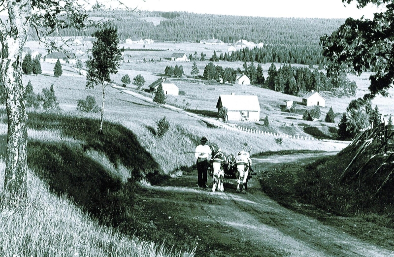 Land- und Forstwirtschaft in Böhmen